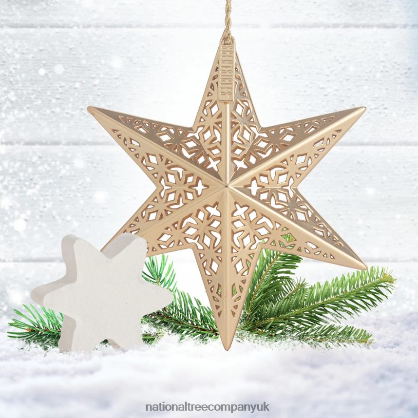 decoration | National Tree Company Scentsicles Decorative Ornament Metal Gold Star White Winter Fir with Refill F2L4F545